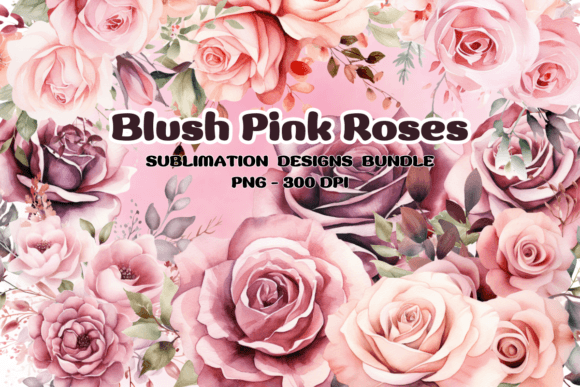 Download Blush Pink Roses Flowers Watercolor PNG - Watercolor png Collection
